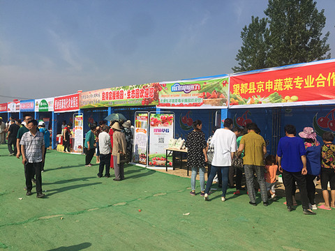 望都2017櫻桃文化旅游節(jié)暨農(nóng)副產(chǎn)品展銷會拉開帷幕，助力地方特色食品銷售